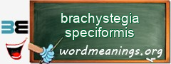 WordMeaning blackboard for brachystegia speciformis